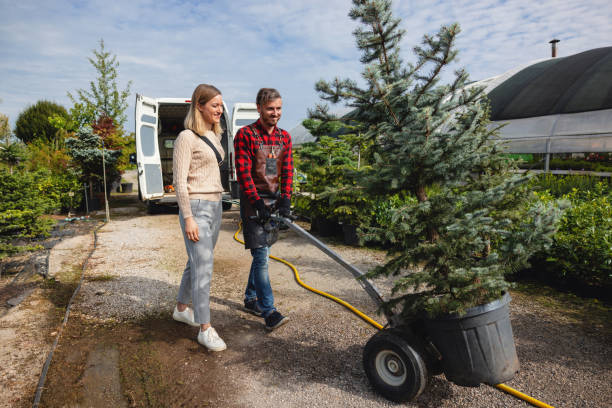 Mulching Services in Hawley, MN